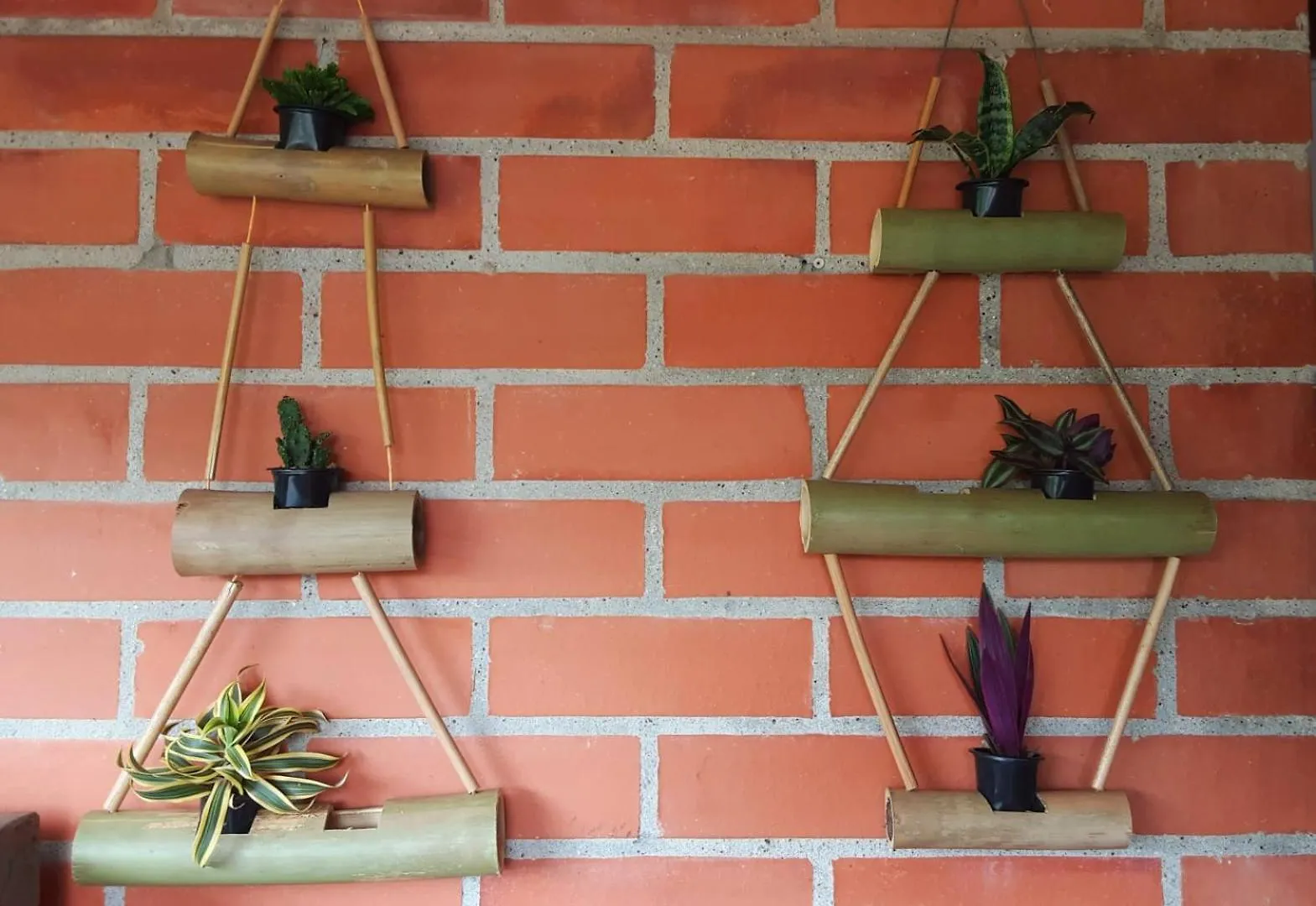 Habitaciones En Casa Ithaca En Floresta - Santa Lucia Medellín Colombia